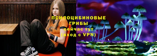 MDMA Premium VHQ Алексеевка